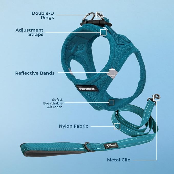 Best Pet Supplies Voyager Step-in Air All Weather Mesh Harness and Reflective Dog 5ft Leash Combo with Neoprene Handle, for Small, Medium and Large Breed Puppies - Set (Turquoise), XX-Small
