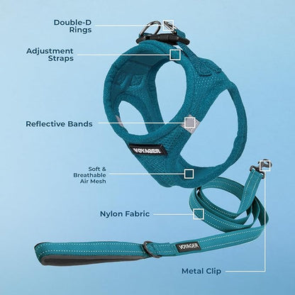 Best Pet Supplies Voyager Step-in Air All Weather Mesh Harness and Reflective Dog 5ft Leash Combo with Neoprene Handle, for Small, Medium and Large Breed Puppies - Set (Turquoise), XX-Small