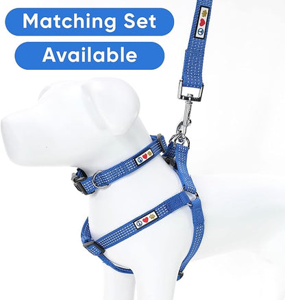 Pawtitas Blue Dog Leash 6 ft M/L Reflective Durable Lightweight Dog Lead for Medium or Large Dogs and Puppies