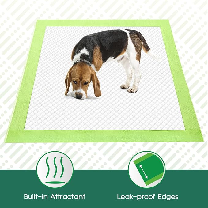 CROCI Puppy Pads 28x34in Green Wee Wee Pads for Dogs , Plant-Based Dogs Pads Extra Large Absorbs Up to 7 Cups of Liquid, 5-Layer Leak-Proof & Quick Drying, Disposable (40 Counts)