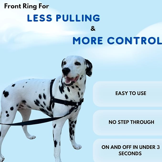 ShawnCo Dream Walk No-Pull Dog Harness- Adjustable, Comfortable, Easy to Use Pet Halter to Help Stop Pulling for Small, Medium and Large Dogs (Oceanic Blue, M)