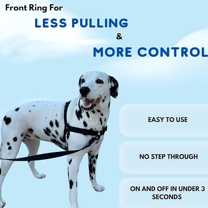 ShawnCo Dream Walk No-Pull Dog Harness- Adjustable, Comfortable, Easy to Use Pet Halter to Help Stop Pulling for Small, Medium and Large Dogs- Art Pattern Designs (White Sharks, M)