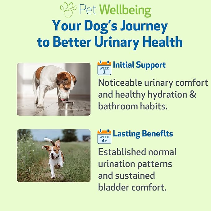 Pet Wellbeing Urinary Gold for Dogs - Vet-Formulated Multi-Herb Urinary Tract Support - Bladder Health & Urinary System Wellness - Natural Dog Supplement - Liquid Formula 2 oz (59ml)