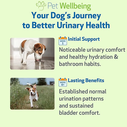 Pet Wellbeing Urinary Gold for Dogs - Vet-Formulated Multi-Herb Urinary Tract Support - Bladder Health & Urinary System Wellness - Natural Dog Supplement - 2 oz (59ml) (4 fl oz (118 ml))