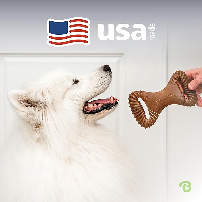 Benebone Dental Durable Dog Chew Toy for Aggressive Chewers, Real Chicken, Made in USA, Small