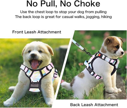 Petmolico No Pull Dog Harness Set with Leash Attachment Easy Control Handle Reflective Harness Vest Small Breed, Puppy Vest and Leash Set with Poop Bag Holder, Small - Iridescent