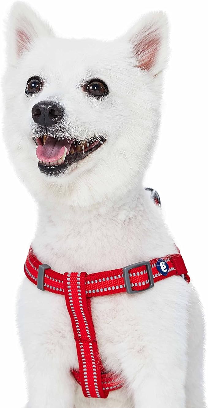 Blueberry Pet Essentials Reflective Back to Basics Matching Dog Harness and Leash Set, Rouge Red, Adjustable Harness with 5 ft Leash for Medium Dogs