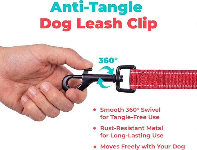 Best Pet Supplies Voyager Reflective Dog Leash or Collar with Neoprene Handle, for Small, Medium, and Large Breed Puppies, Cute and Heavy Duty for Walking, Running and Training - Red (Leash), L