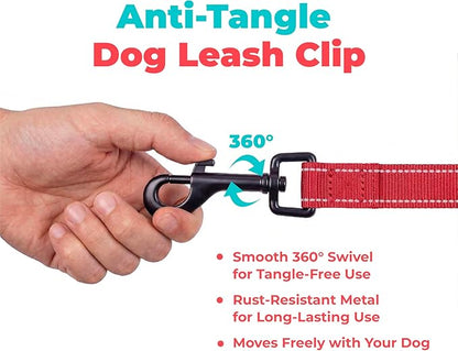Best Pet Supplies Voyager Reflective Dog Leash or Collar with Neoprene Handle, for Small, Medium, and Large Breed Puppies, Cute and Heavy Duty for Walking, Running and Training - Red (Leash), L