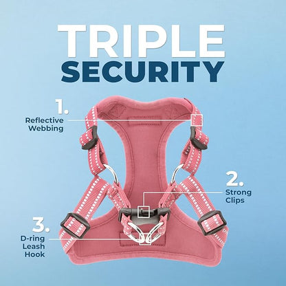 Best Pet Supplies Voyager Adjustable Step-in Flex Breathable Mesh Dog Harness for Small Medium Large Dogs Leash Set (Pink), XL