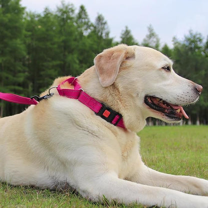 Joytale Martingale Collar for Dogs, Reflective Heavy Duty for Safety, Quick Release Buckle, Adjustable Nylon Collars for Large Dogs Walking Training, Hotpink,L