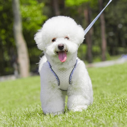 Soft Dog Harness and Leash Set for Walking, Summer Step in Vest Harness, Reflective Bands, Ultra Thin Breathable Pet Supplies, for Extra Small Dogs and House Cats White XS