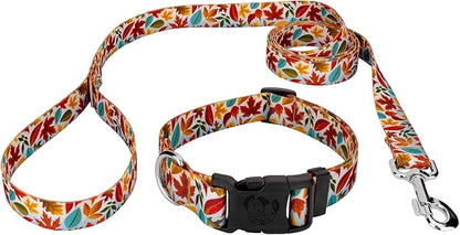 Country Brook Petz - Brisk Autumn Everyday Dog Collar and Leash - Awesome Autumn Collection Featuring Designs You Will Fall for (5/8 Inch, Small)