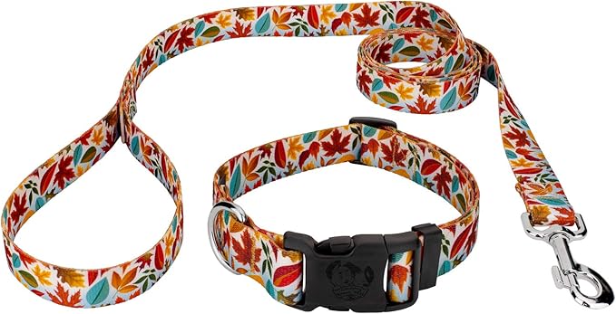 Country Brook Petz - Brisk Autumn Everyday Dog Collar and Leash - Awesome Autumn Collection Featuring Designs You Will Fall for (1 Inch, Large)