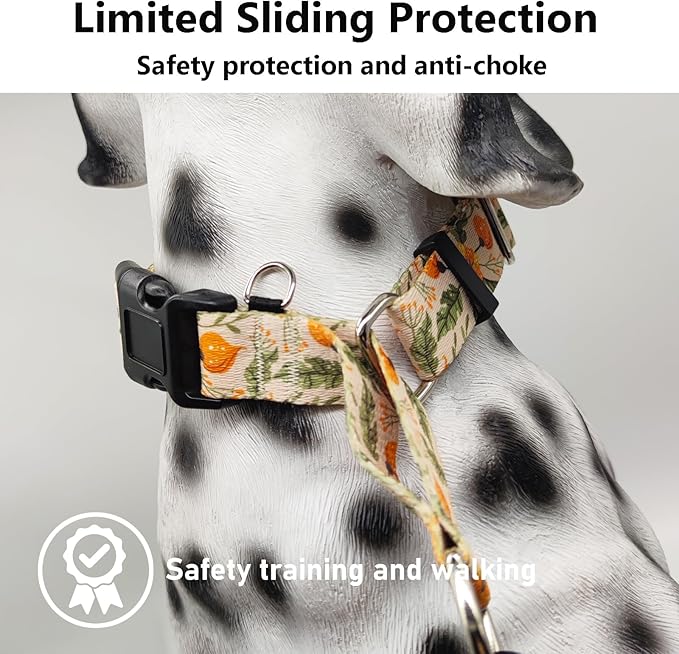 Martingale Collar for Dogs with Buckle Adjustable Nylon Slip No Pull Training Dog Collars (Beige Floral, Large)