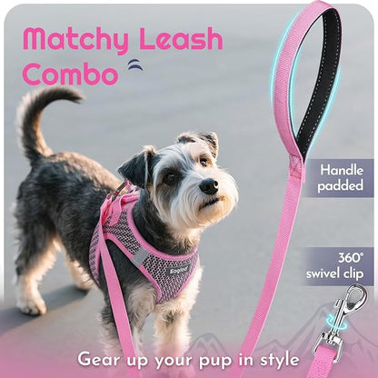 Eagloo Small Dog Harness and Leash Set, Step in Puppy Vest with Breathable Soft Mesh, Walking Reflective Pet Harness for Medium Small Dogs, Pink, M