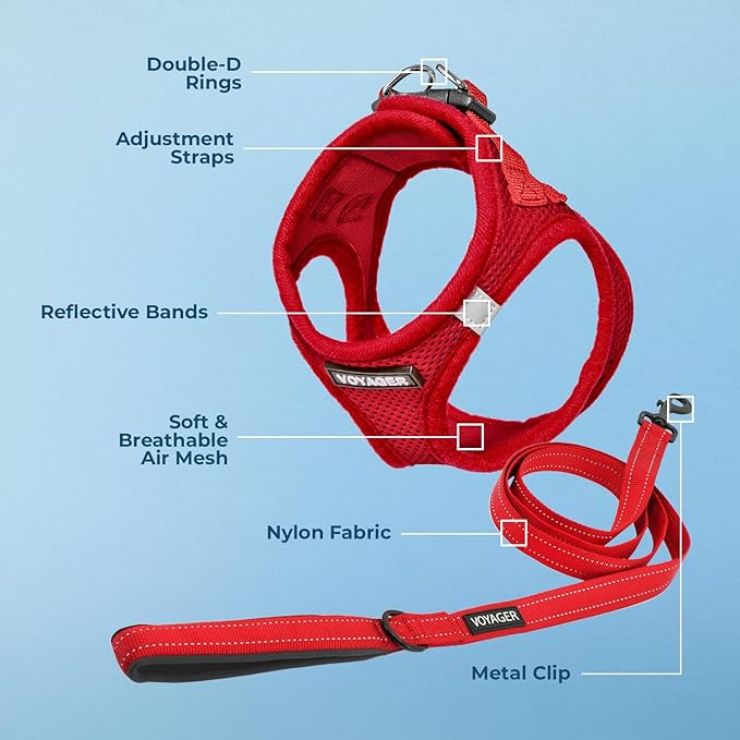 Best Pet Supplies Voyager Step-in Air All Weather Mesh Harness and Reflective Dog 5ft Leash Combo with Neoprene Handle, for Small, Medium and Large Breed Puppies - Set (Red), Medium
