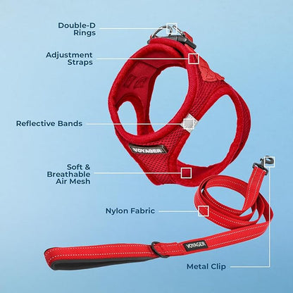 Best Pet Supplies Voyager Step-in Air All Weather Mesh Harness and Reflective Dog 5ft Leash Combo with Neoprene Handle, for Small, Medium and Large Breed Puppies - Set (Red), XX-Small
