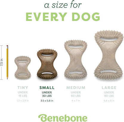 Benebone Dental Durable Dog Chew Toy for Aggressive Chewers, Real Bacon, Made in USA, Small