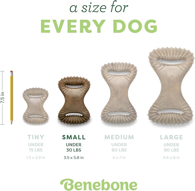 Benebone Dental Durable Dog Chew Toy for Aggressive Chewers, Real Chicken, Made in USA, Small