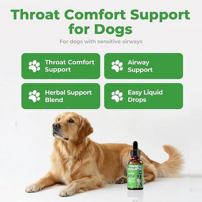 Dog Cough Relief - Collapsed Trachea Treatment for Dogs - Throat Calm Herbal Drops with Slippery Elm & Mullein - Trachea Supplement for Coughing & Airway Comfort
