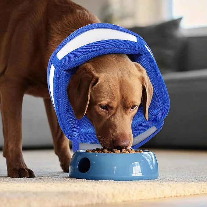 Soft Dog Cone Collar to Stop Licking - Adjustable for Small Dogs | Prevents Licking Wounds After Surgery & Skin Disease,Lightweight,Comfortable Elizabethan Recovery Cone (Blue,S)