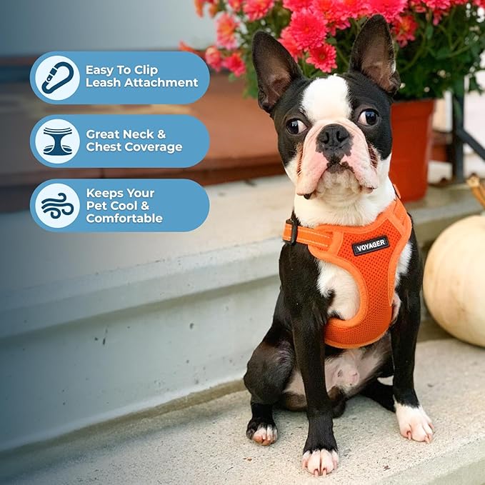 Best Pet Supplies Voyager Adjustable Step-in Flex Breathable Mesh Dog Harness for Small Medium Large Dogs (Orange), XS
