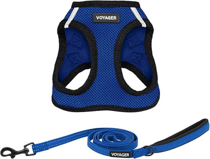 Best Pet Supplies Voyager Step-in Air All Weather Mesh Harness and Reflective Dog 5ft Leash Combo with Neoprene Handle, for Small, Medium and Large Breed Puppies - Set (Royal Blue/Black Trim), Medium