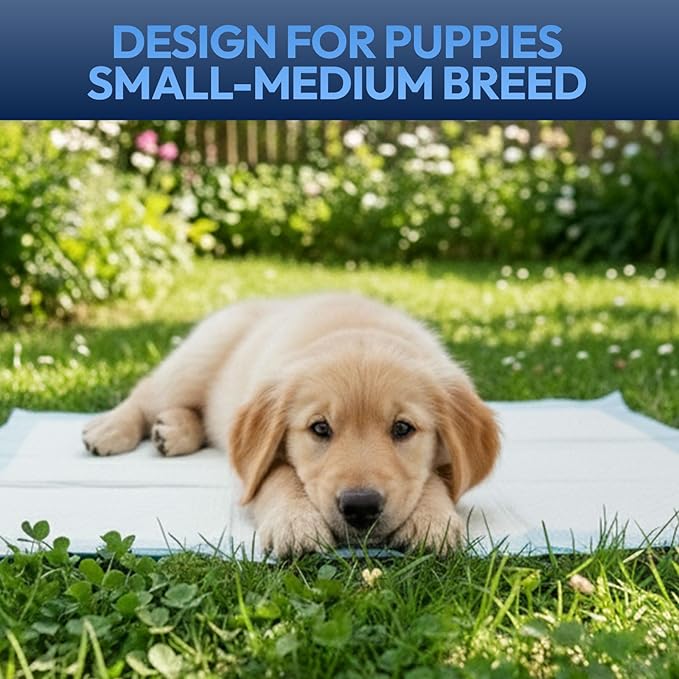 Training Pads for Dogs & Puppies, Super Absorbent, Leak-Proof Protection, Odor-Neutralizing, Disposable Puppy Pads Essentials 22"x22" 150 Count - BROOKLYN PET GEAR