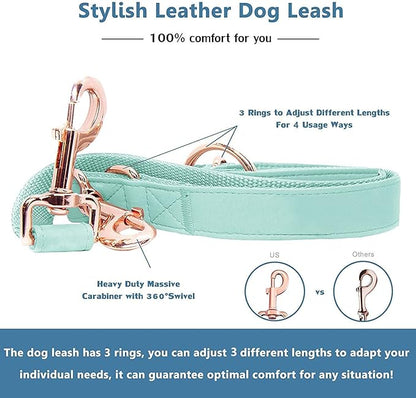 Soft Leather Dog Collar and Leash (6.6') Set - Stylish Rose Gold Heavy Duty Metal Buckle, 4 Adjustable Lengths Leash for Small Medium Large Dogs - Comfortable & Easy to Clean Mint Green M(13.8"-19.7")