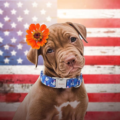 Unique style paws Independence Day Dog Collar Metal Buckle Hat Shark Collar Gift Durable Cute Collar for Small Medium Large Boys Girls Dogs