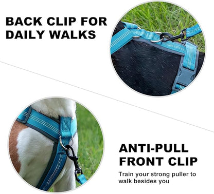 Plutus Pet No Pull Dog Harness, Adjustable Nylon Harness with Soft Padding, Reflective and Heavy Duty Dog Harness for Small, Medium, Large Dogs(Cyan, L)
