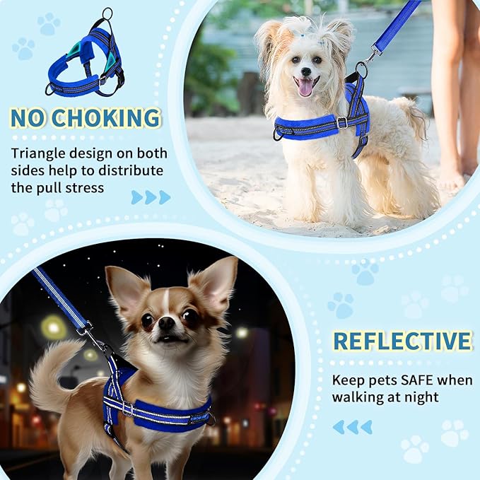 Lukovee No Pull Dog Harness and Leash Set, Soft Padded Small Dog Harness, Neck & Chest Adjustable Reflective Vest Puppy Harness with 4ft Lightweight Anti-Twist Dog Leash for Small Dogs (XS, Blue)