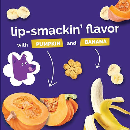 Fruitables Baked Dog Treats Variety Pack - Pumpkin Flavors - Healthy Low-Calorie Snacks - Wheat, Corn & Soy Free - 7 oz (4 Pack)