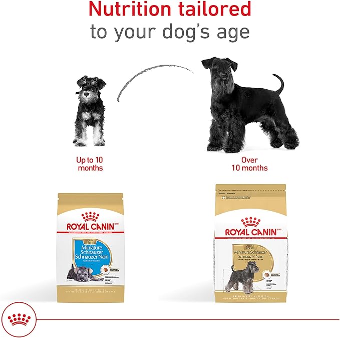 Royal Canin Breed Health Nutrition Miniature Schnauzer Adult Dry Dog Food, 10 lb Bag