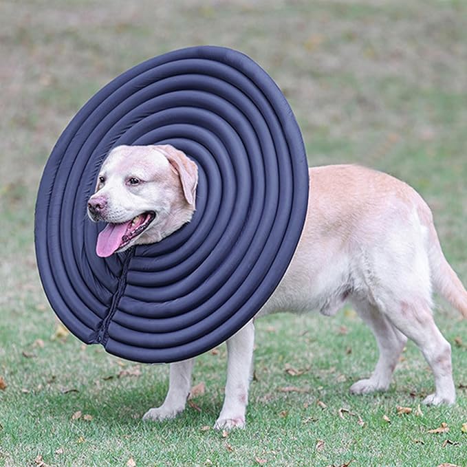 Recovery Cone for Pet Kitten Small to Large Dogs Recovery Collar Cone Neck Collar with Sticker