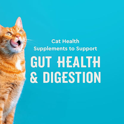 VetIQ Cat Probiotics Supplement – Probiotic, Prebiotic & Postbiotic Cat Supplements, Digestive & Gut Health Support, Constipation & Diarrhea Relief, Chicken Flavored, 3.7 oz