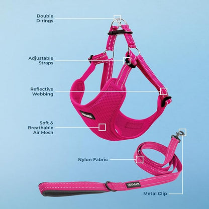 Best Pet Supplies Voyager Adjustable Step-in Flex Breathable Mesh Dog Harness for Small Medium Large Dogs Leash Set (Fuchsia), XL