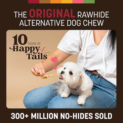 Earth Animal No Hide Stix - Long Lasting Rawhide Free Small Dog Chews Sticks, Beef - 40 Count Extra Value Pack