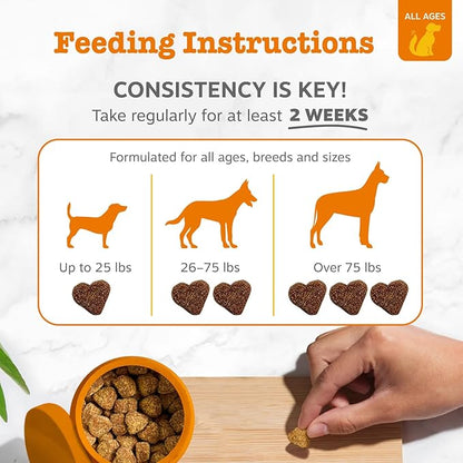Zesty Paws Dog Allergy Relief Chews, Dog Probiotics for Itchy Skin and Ears, Lamb, 50ct (Pack of 2)