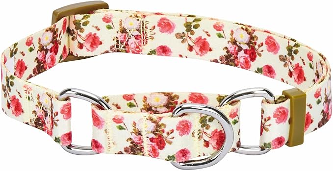 Blueberry Pet Spring Scent Inspired Rose Print Martingale Safety Training Dog Collar, Ivory, Medium, Heavy Duty Adjustable Collars for Dogs