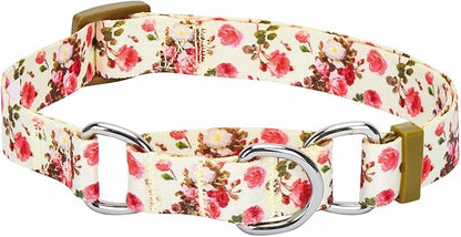 Blueberry Pet Spring Scent Inspired Rose Print Martingale Safety Training Dog Collar, Ivory, Small, Heavy Duty Adjustable Collars for Dogs