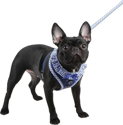 Authentic Puppia Vivien Harness, Royal, Large