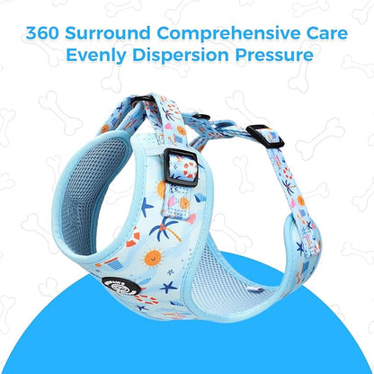 Dog Harness and Lead, Bow Tie Collar Set with Dog Poop Bag Holder and Bandanas, Escape Proof Adjustable Puppy Cat Vest with Soft Mesh Padded, Pet Supplies for Small Medium Dogs Kitten(Blue Beach, S)