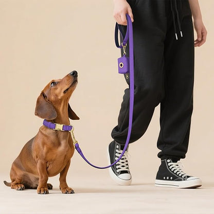 Didog Colorful Soft Padded Nylon Dog Collar & 5FT Dog Leash Set for Medium Dogs