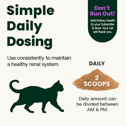 VetriScience Kidney Health Powder, Renal Essentials Supplement for Cats, Kidney Care and Support with Mushroom, Astragalus Root, Nettle Seed and Herbs, Chicken & Cheese, 60 Scoops