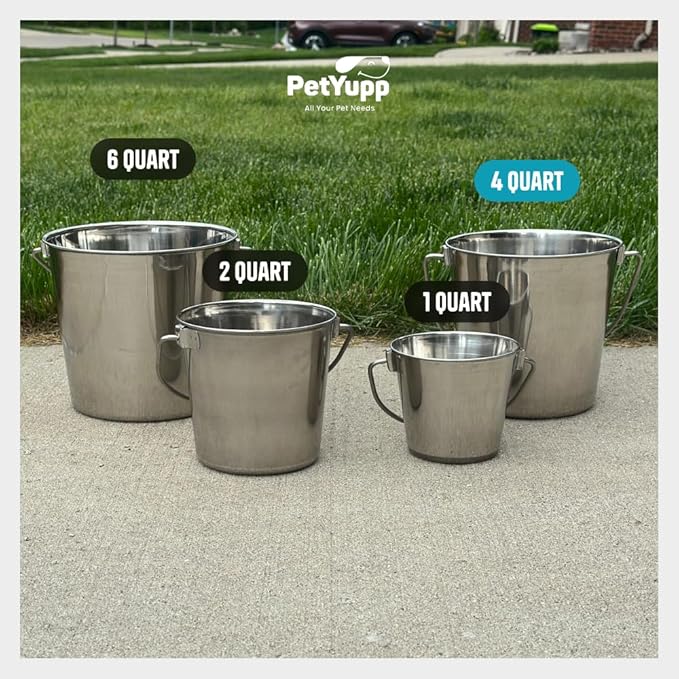 1 Gallon Heavy Duty Stainless Steel Bucket - Rust-Resistant Metal Bucket for Feeding & Watering Pets, Livestock & Cleaning - Perfect for Crates, Kennels, Cages & Hang on Fences - 4 Quart