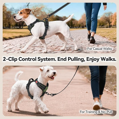 PHOEPET No Pull Dog Harness with Handle Front & Back Clip, Easy on Lockable Snap Buckle at Neck, Adjustable Reflective Vest with Handle for Small Medium Large Dogs (S, Misty Green)