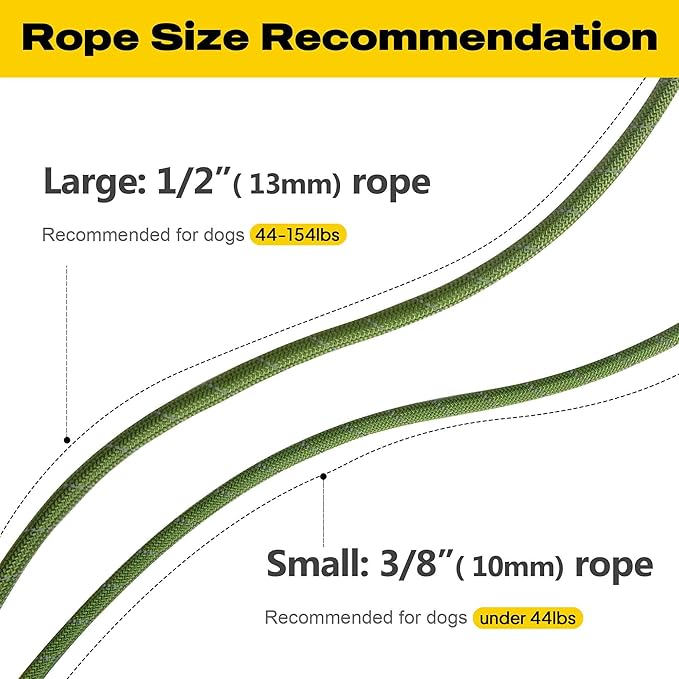 Fida Durable Slip Lead Dog Leash Bulk Pack of 5, Heavy Duty 1/2" x 6 FT Comfortable Strong Rope Slip Lead for Large, Medium & Small Dogs No Pulling Pet Training Leash with Highly Reflective (Mixed)