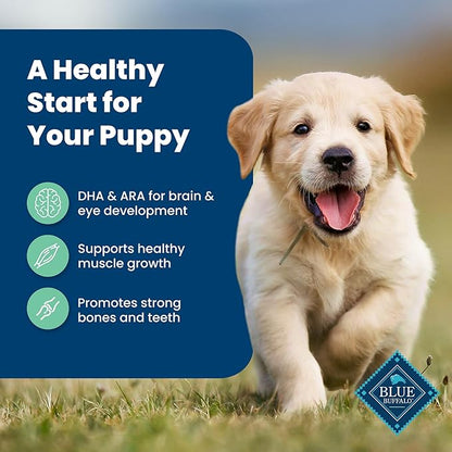 Blue Buffalo Life Protection Formula Puppy Dry Dog Food with DHA and ARA, Made with Natural Ingredients, Lamb & Oatmeal Recipe, 30-lb Bag